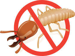 Logo of Anti-termite